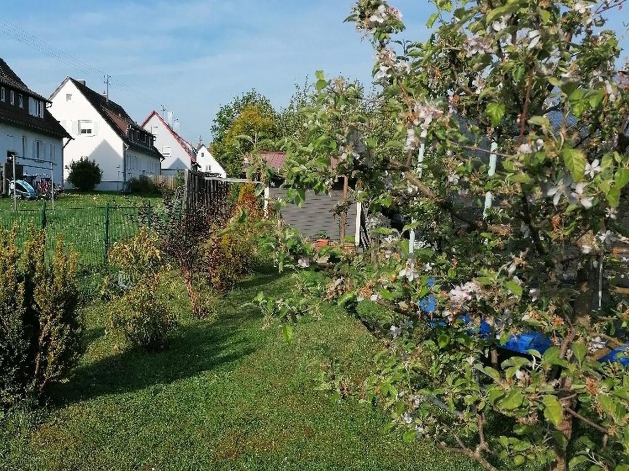 Ferienwohnung Kirsch-Kern Mössingen Extérieur photo